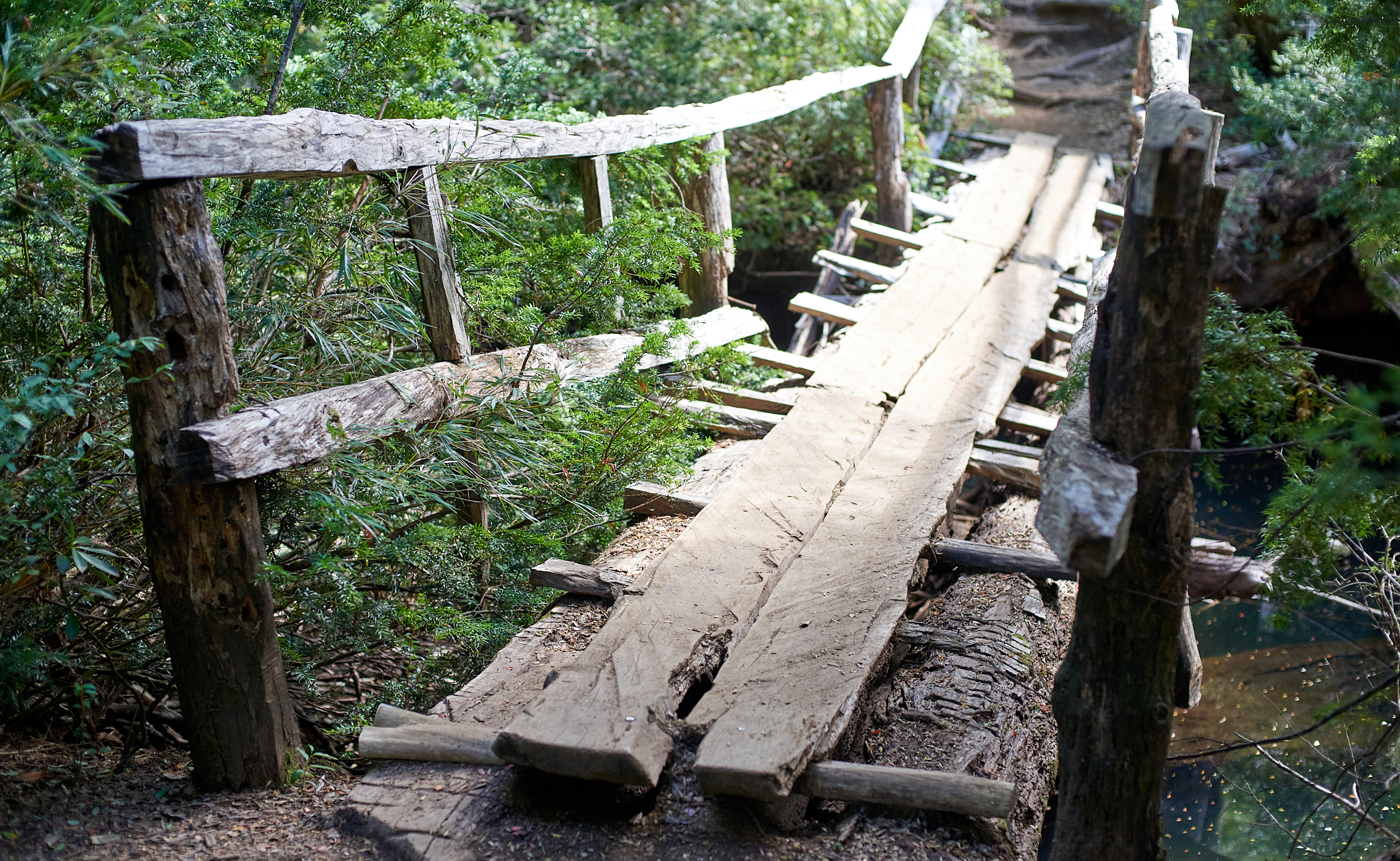 20200317 899 [칠레] 푸콘 우에르케우에 국립공원 트레킹